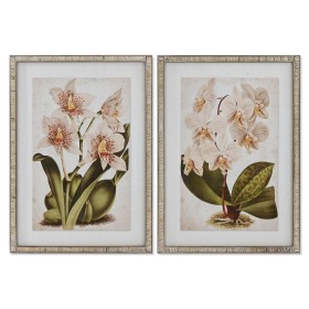 Cuadro Home ESPRIT Tropical Orquídea 50 x 2,5 x 70 cm (2