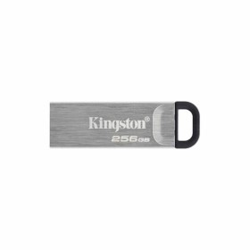 Pendrive Kingston DTKN/256GB USB 3.2 Plateado Negro 256 GB