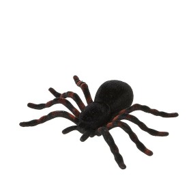 Spider Black (4 Units)