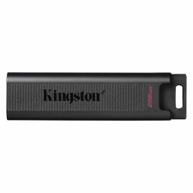 USB stick Kingston DTMAX/256GB 256 GB