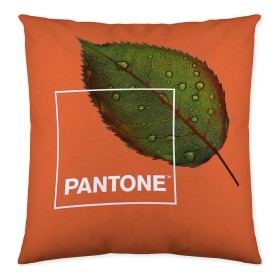 Cushion cover Nature Pantone Reversible 50 x 50 cm Pantone - 1