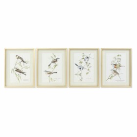 Cuadro DKD Home Decor 35 x 2,5 x 45 cm Tradicional Pájaros (4