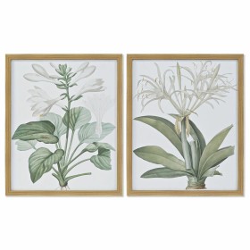 Pintura DKD Home Decor 43 x 3 x 53 cm Plantas botânicas (2