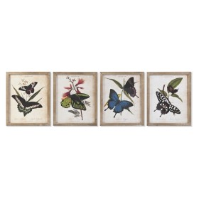 Cuadro DKD Home Decor Mariposas 40 x 2 x 50 cm Shabby Chic (4