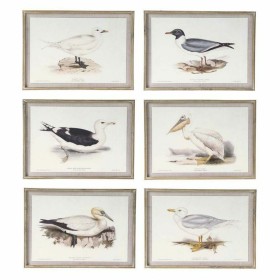 Cuadro DKD Home Decor 70 x 2,5 x 50 cm Tradicional Pájaros (6