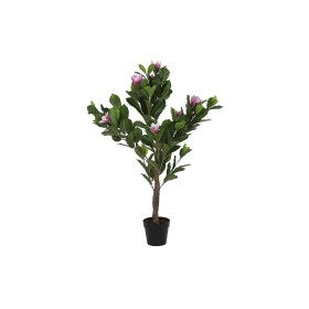 Planta Decorativa DKD Home Decor Rosa Verde PE (60 x 60 x 125