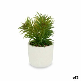 Planta Decorativa Blanco Verde (14 x 20 x 14 cm) (