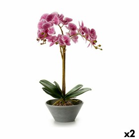 Planta Decorativa Orquídea 20 x 60 x 28 cm (2 Unidades)