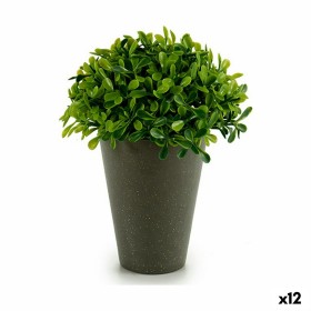 Planta Decorativa Plástico 13 x 16 x 13 cm Verde G