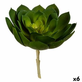 Planta Decorativa 22 x 19 x 19 cm Verde Plástico (