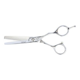 Hair scissors Neostar Eurostil ESCULPIR 5.5 5,5