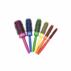 Set of combs/brushes Termix C-Ramic Pride Toilet B