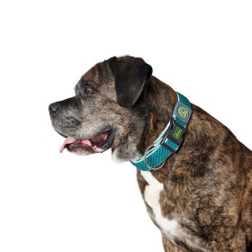 Collar para Perro Hunter Plus Hilo turquoise Turquesa Talla XL