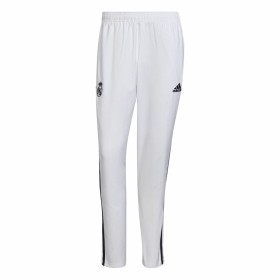 Football Training Trousers for Adults Adidas Condi