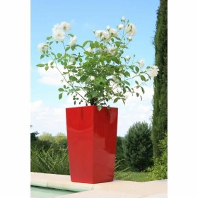 Plant pot Riviera Red Plastic Squared Circular Modern 29 x 29 x
