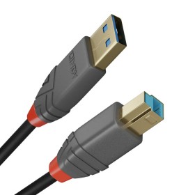 Cable USB A a USB B LINDY 36742 2 m Negro