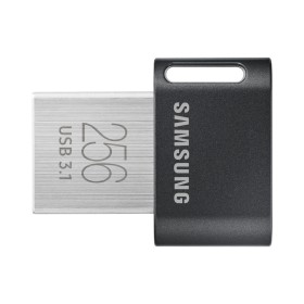 Clé USB Samsung MUF-256AB 256 GB