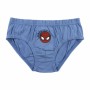 Pack de Calzoncillos Spiderman Multicolor