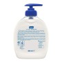 Jabón de Manos Hygiene Protector Sanex Dermo Protector (250 ml)