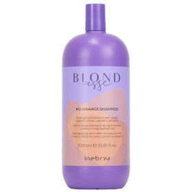 Shampooing pour Cheveux blonds ou gris Inebrya BLONDesse 1 L