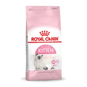 Comida para gato Royal Canin Kitten Royal Canin - 1