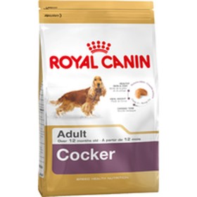 Hundefutter Royal Canin Cocker Adult 12 kg