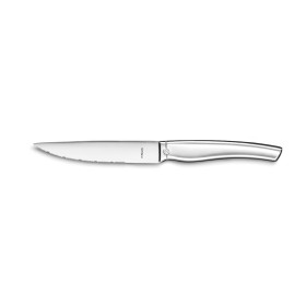 Cuchillo para Chuletas Amefa Goliath Metal Acero Inoxidable (25
