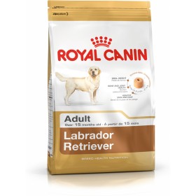 Hundefutter Royal Canin Labrador Retriever Adult 12 kg