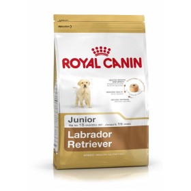 Hundefutter Royal Canin Labrador Retriever Junior 12 kg