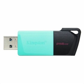 Memória USB Kingston DataTraveler DTXM 256 GB 256 GB