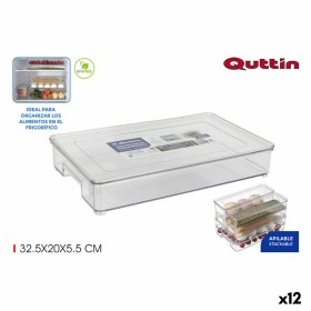 Organizador Multiusos Quttin Con Tapa 32,5 x 20 x 5,5 cm