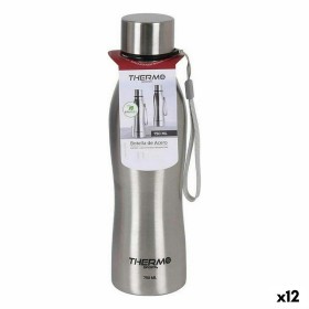 Bottle ThermoSport Steel Silver (12 Units)