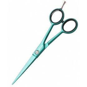 Hair scissors Fama Fabré Jaguar Green