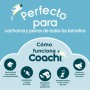 Correa para Perro Coachi Entrenamiento Azul Coachi - 6