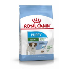 Pienso Royal Canin Mini Puppy Cachorro/Junior Arroz Aves 2 Kg