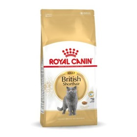 Comida para gato Royal Canin British Shorthair Adult Adulto 10