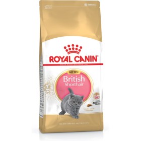 Comida para gato Royal Canin British Shorthair Kitten Pollo