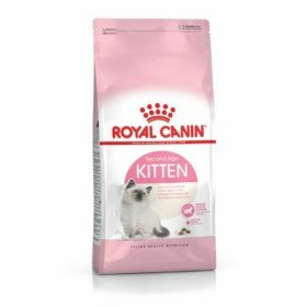 Comida para gato Royal Canin Kitten Aves 4 Kg