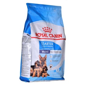 Pienso Royal Canin Maxi Starter Mother & Babydo Aves 4 Kg
