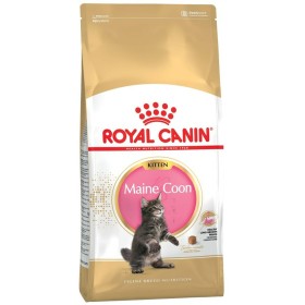 Comida para gato Royal Canin Maine Coon Kitten Arroz Aves 2 Kg