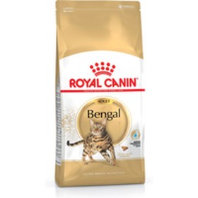 Comida para gato Royal Canin Bengal Adult Adulto Vegetal Aves