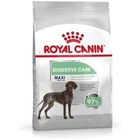 Pienso Royal Canin Adulto Arroz Aves 3 Kg