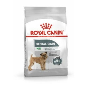 Pienso Royal Canin Mini Dental Care Adulto 8 kg