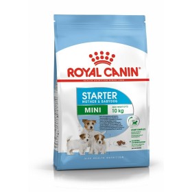 Pienso Royal Canin Mini Starter Mother & Babydog Aves 8 kg