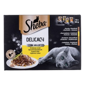Comida para gato Sheba Delicacy in Jelly Pollo Pavo Pato Aves
