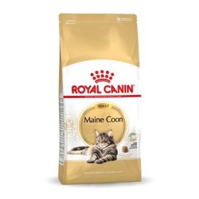Comida para gato Royal Canin Maine Coon Adult + 1 Año Adulto