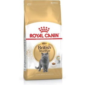 Comida para gato Royal Canin British Shorthair Adulto Pollo